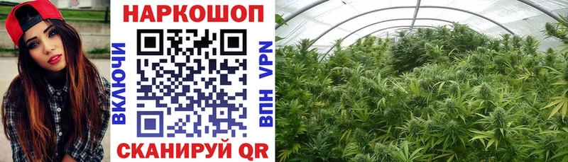 Купить наркотик аптеки Бугульма ГАШ  АМФ  Меф  Каннабис  A PVP 