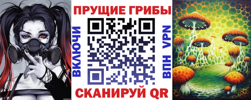 Псилоцибиновые грибы Psilocybine cubensis  Бугульма 